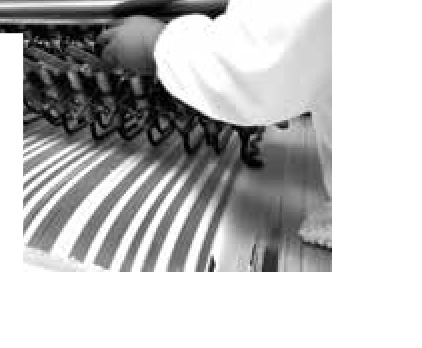 Cleanroom manual sorting and defect inspection under ISO 22000